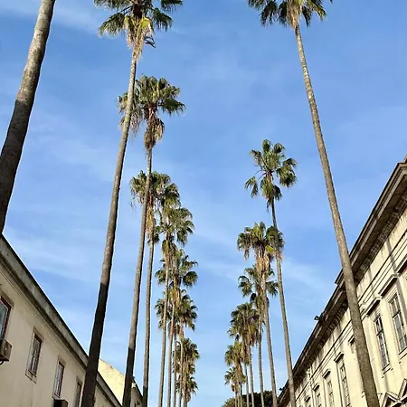 Praca Do Comercio Romantic *